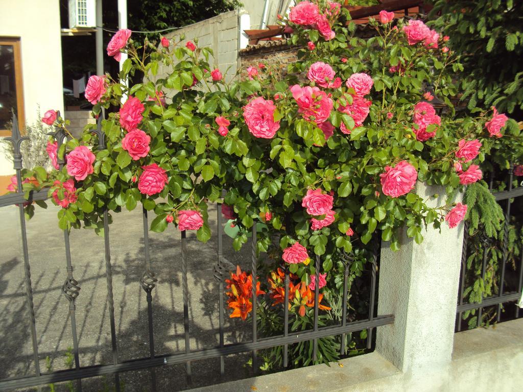 Amfora Guest House Byala  Esterno foto