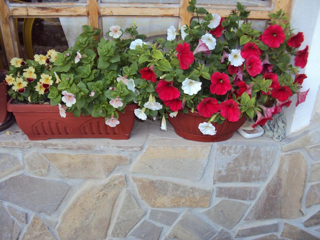 Amfora Guest House Byala  Esterno foto